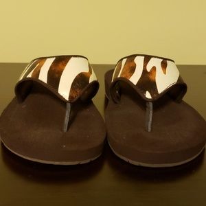 Soft & Comfortable Speedo Flip Flops